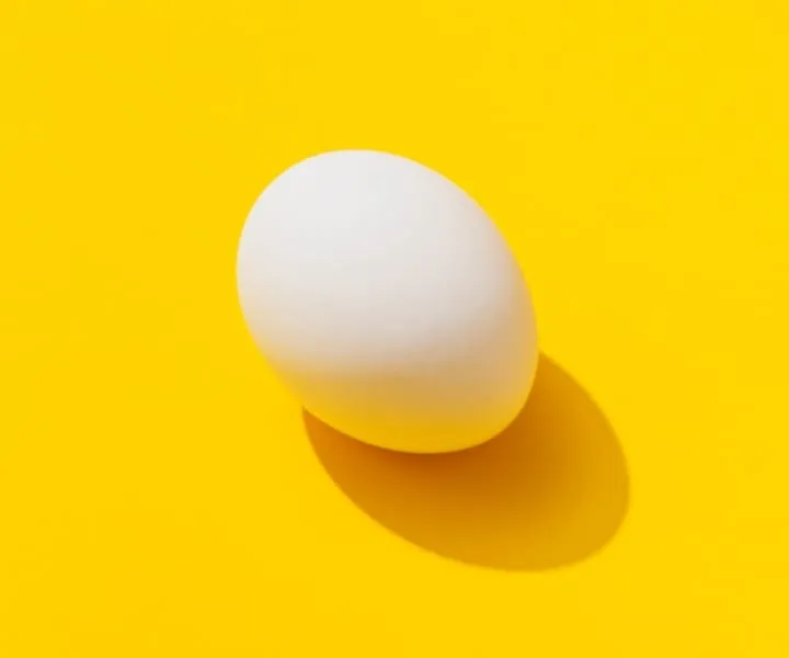 an egg that projects a shadow